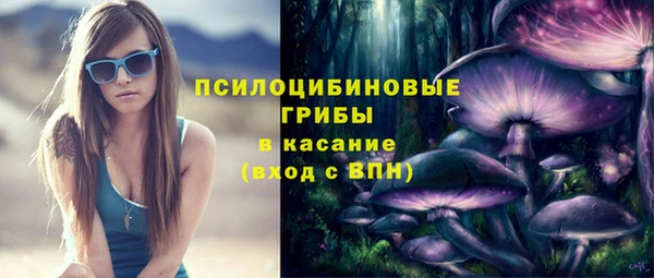 дживик Волоколамск